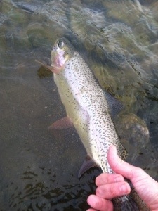 20130318-130734.jpg