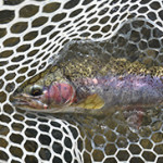 Dave McKee Fly Fishing