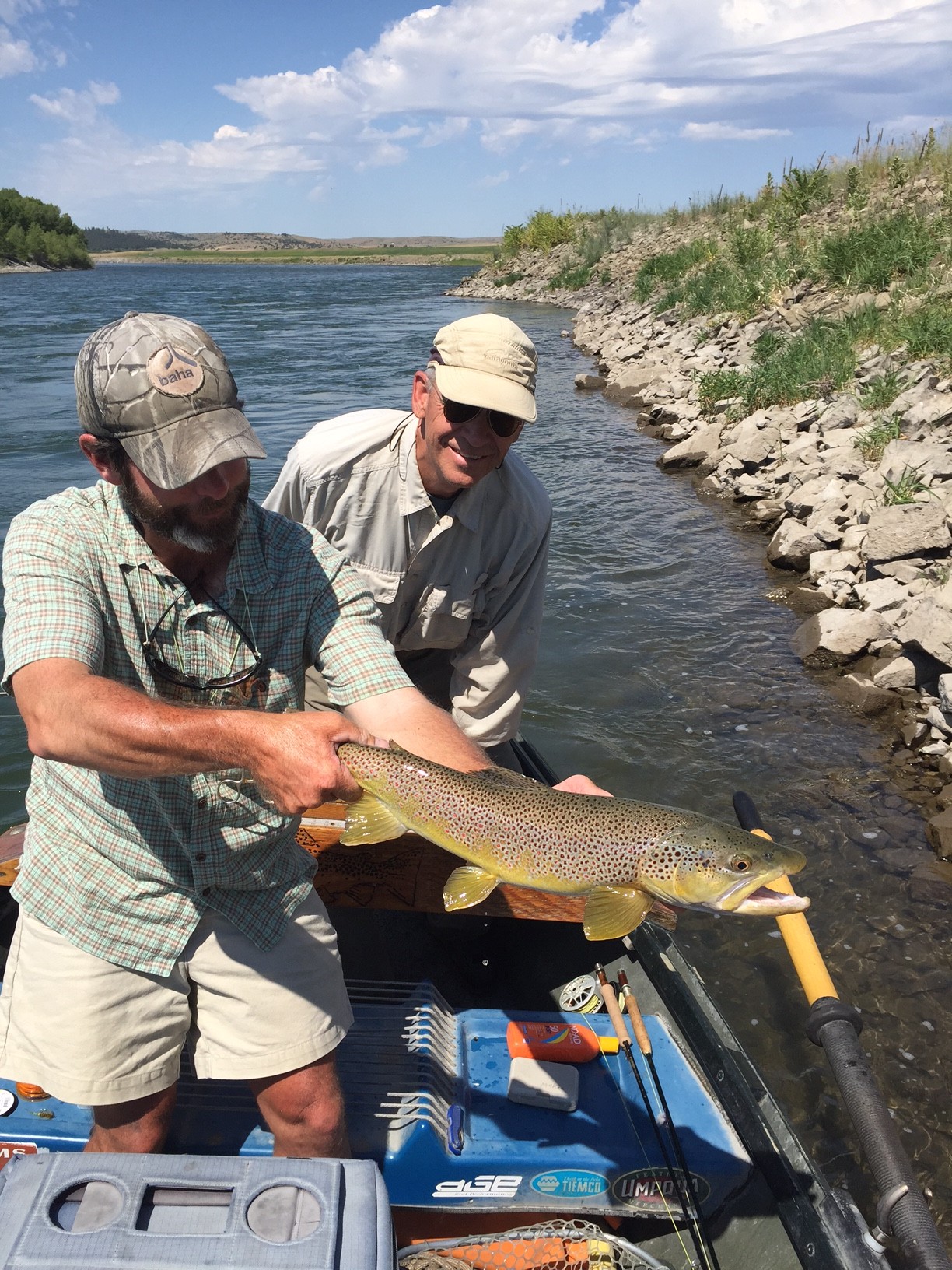 After some work on the hook setting and line management, Richard Hansen landed this beautiful brown two days ago in the Lower Yellowstone